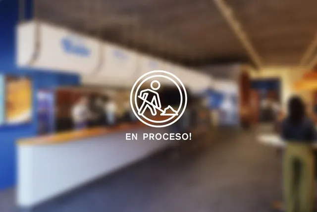 Interior de KIDDO Arévalo (café / brunch), proyecto de Terrenal Estudio